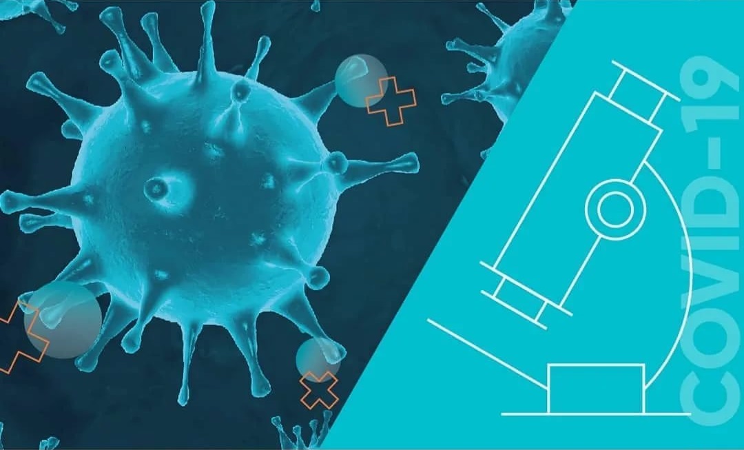 Врач-инфекционист: для окончания пандемии 76% положительных тестов на антитела недостаточно
